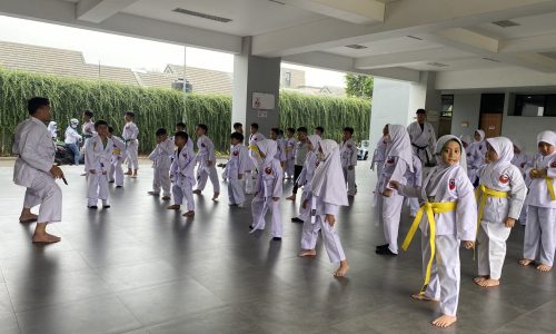 Karate: Discipline, Strength, and Confidence